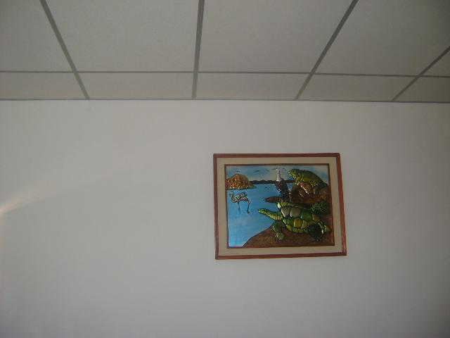 Las Gardenias Hotel Puerto Villamil Esterno foto